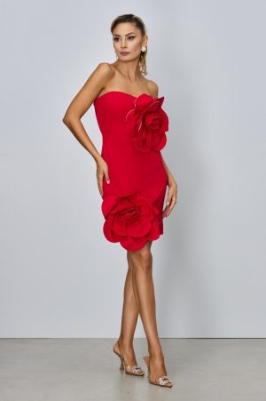 Rochie de ocazie Aime Rosie 1